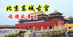 男人陪女人,美女张影,女人用大鸡巴操比免费在线播放的中国北京-东城古宫旅游风景区